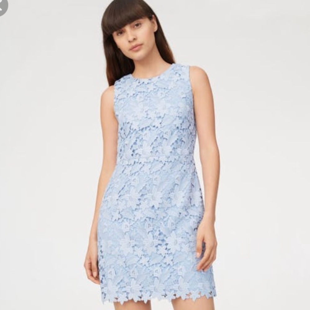 Club Monaco Klina Lace Shift Dress